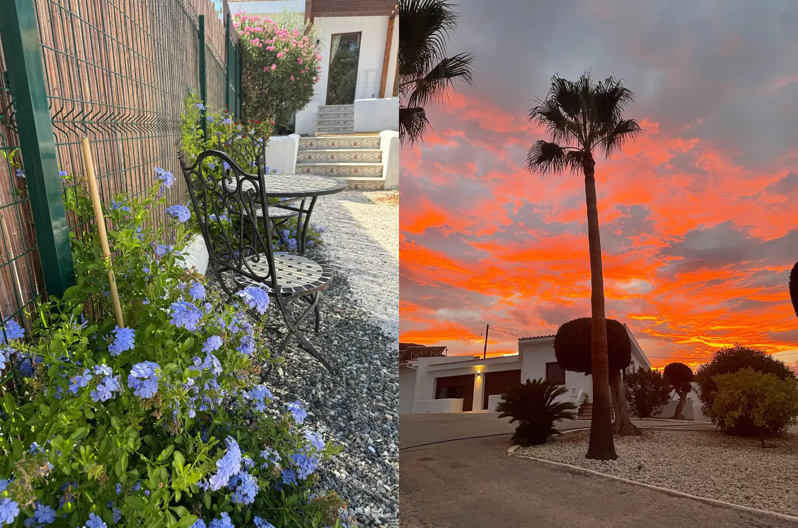 garden-sunset